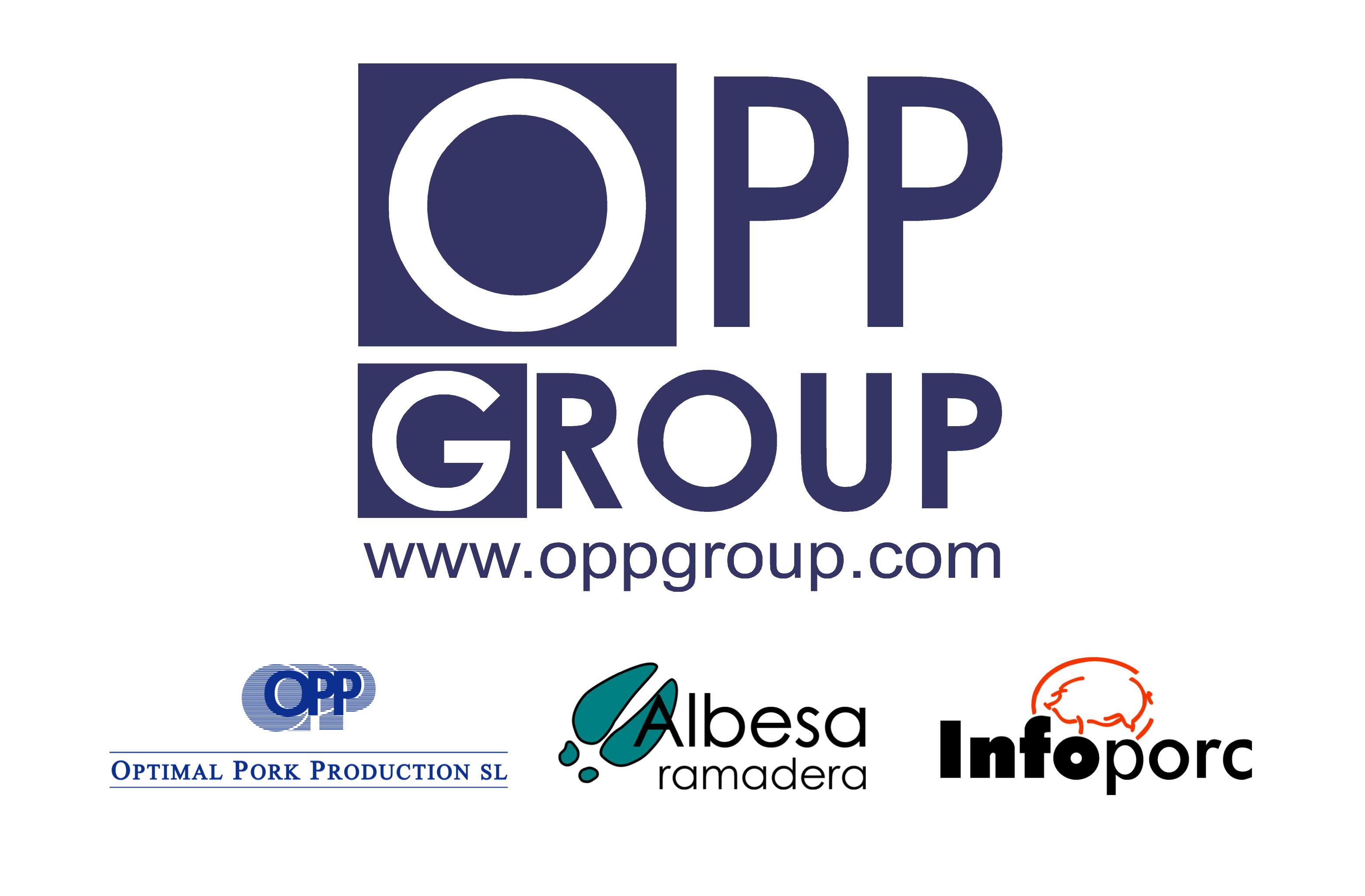 OPPgroup-empresas