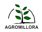 agromillora